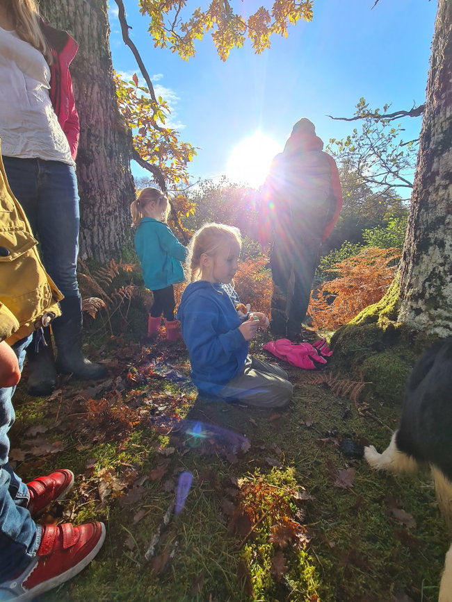 Forage and Feast