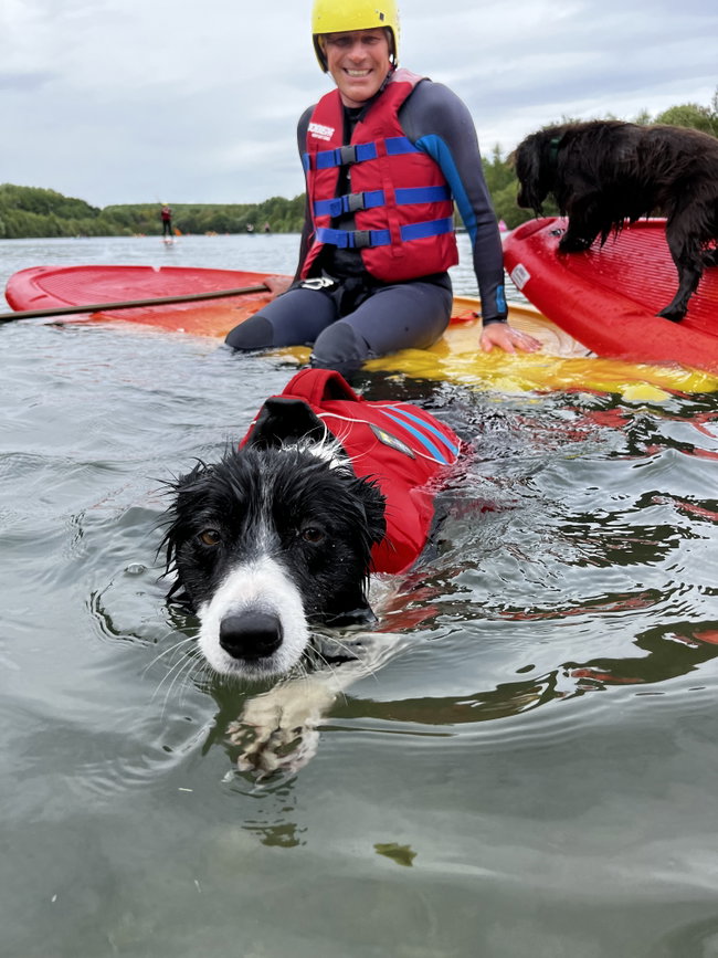 Doggie Dip - Swim