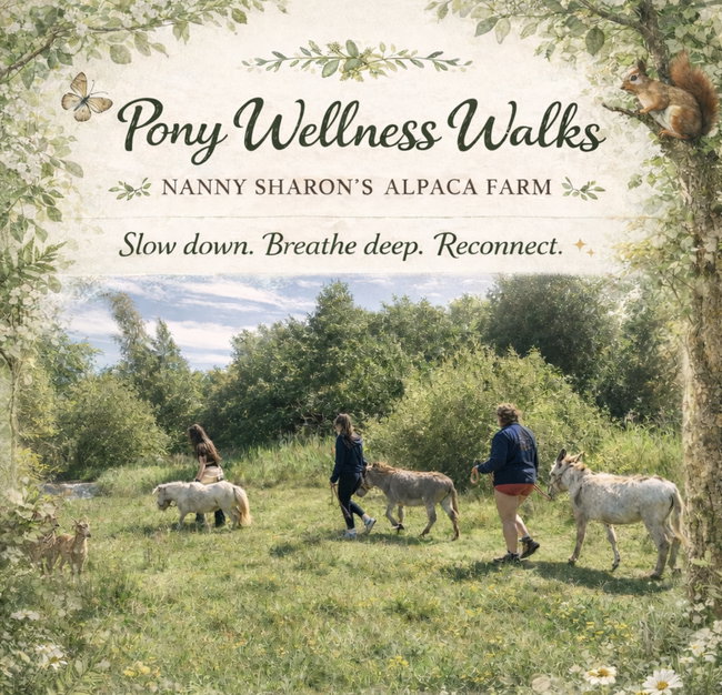 Pony Wellness Walk.