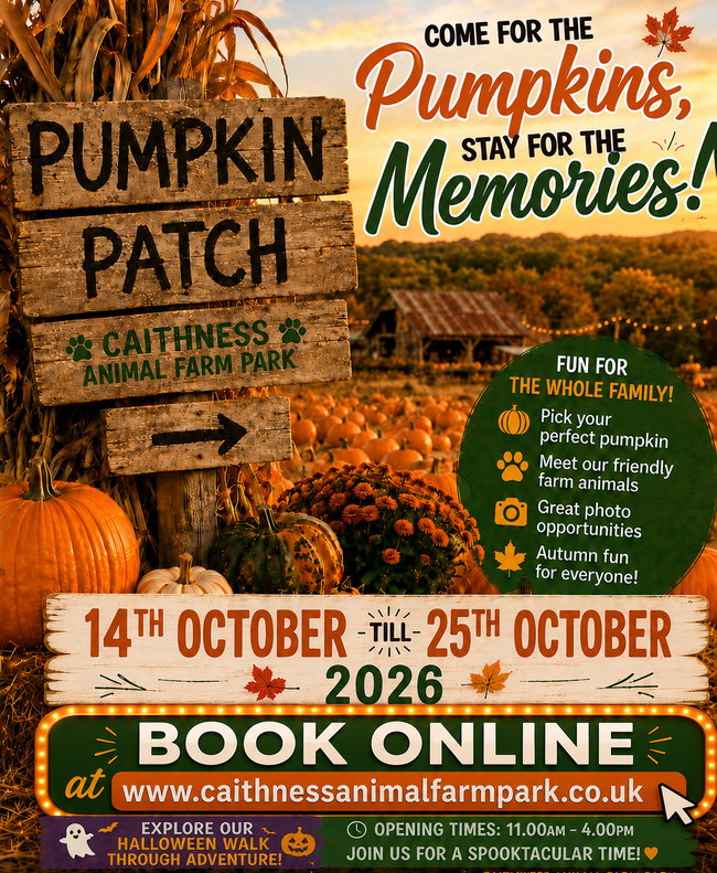 Halloween pumpkin picking with Halloween walk through adventure .