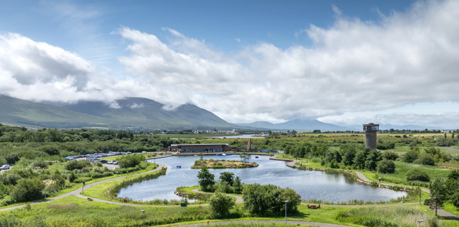 Beginners Guide to The Water Cycle and The Role of Wetlands