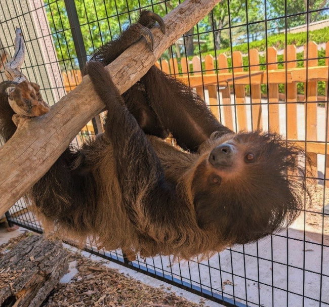 Zoo Groups of 50-100 Admission 
