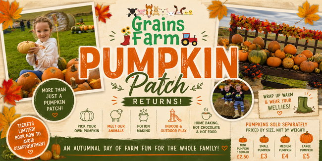 Grains Farm Pumpkin Patch!! 🎃