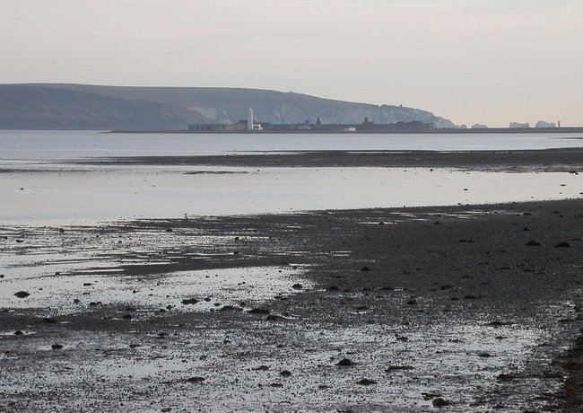 New Forest Discovery Walk (Lymington)