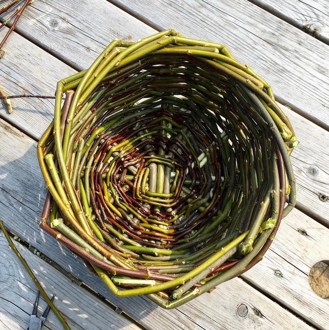Willow Basket Weaving Workshop - Beginners