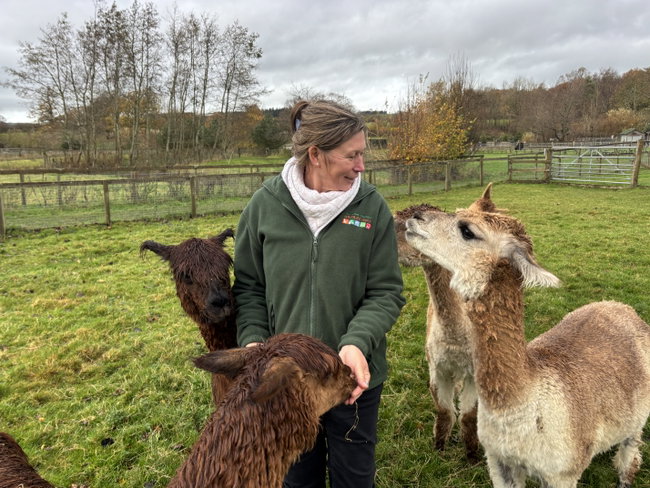 Farm Animal Experience for 2 Adults 