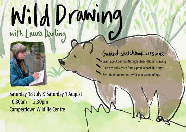 'Wild Drawing' with Laura Darling