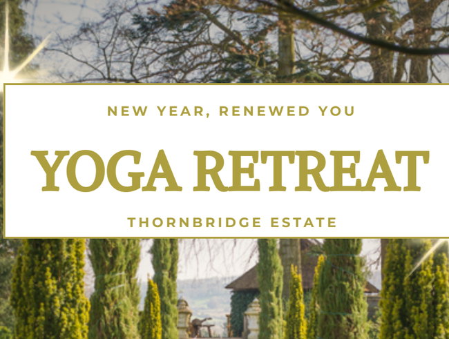 New Year, Renewed You: Yoga Retreat with Topaz Yoga