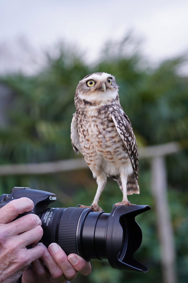 Photography Day