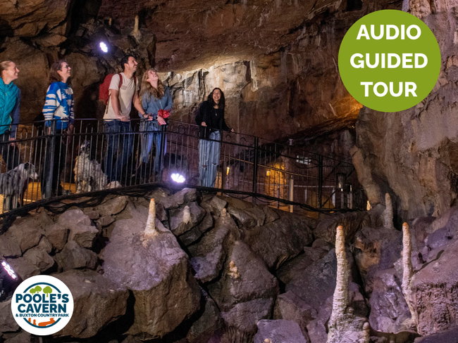 Audio Tour (with app)