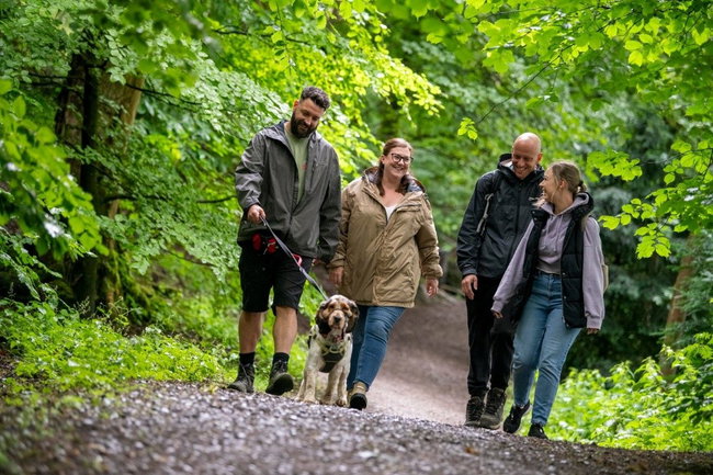 Explore the ‘Hidden History - Woodland Walk Tues 20 October 11am