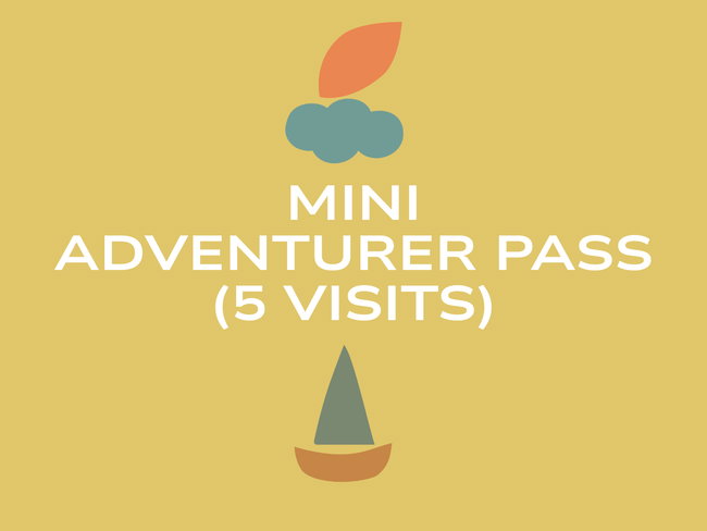 Mini Adventurer Pass (5 Open Play Sessions)