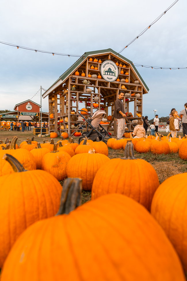 2026 Fall Festival Season Pass 