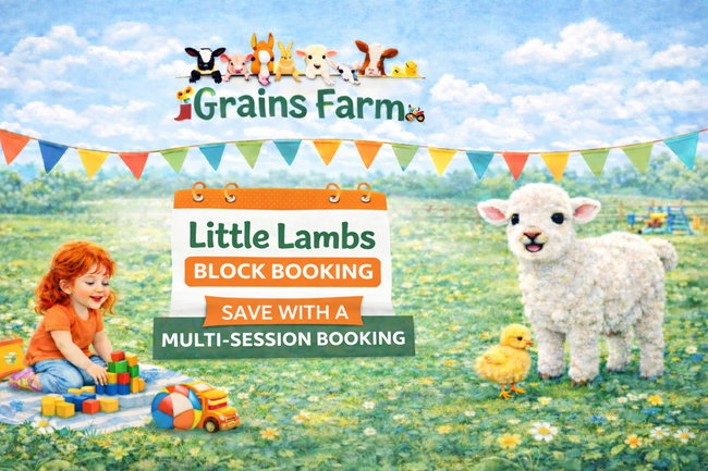 Little Lambs Block Booking