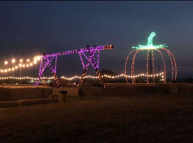 ANY-day Pass (Single Admission - Corn Maze + Field of Fear Haunted House Combo)