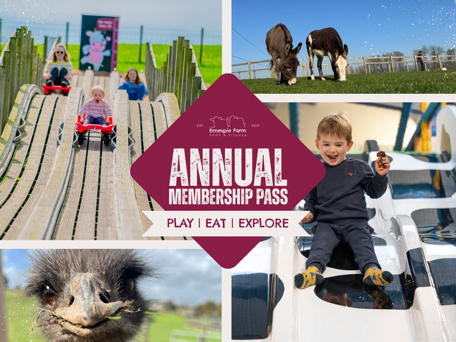 Annual Membership 
