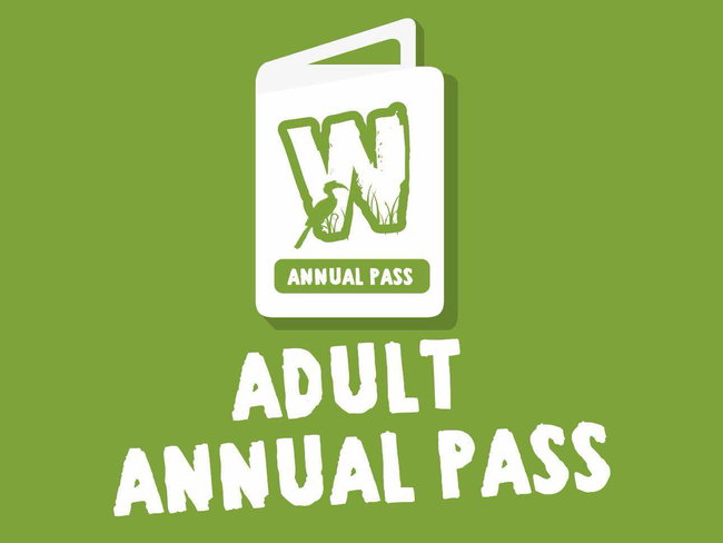 Adult Annual Pass