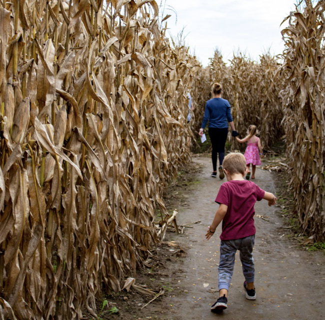 2026 Blast Corn Maze Season Pass