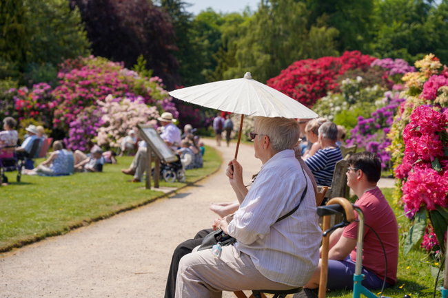 Friends of Ushaw Membership 